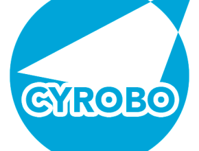 Cyrobo Clean Space Crack