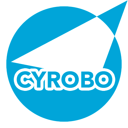 Cyrobo Clean Space Crack 